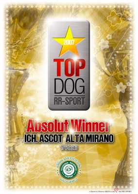 TOP DOG 2007